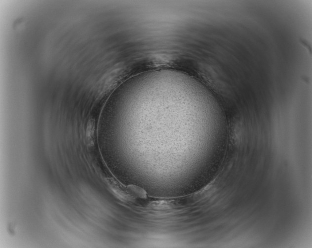 X0000102280082200808011500