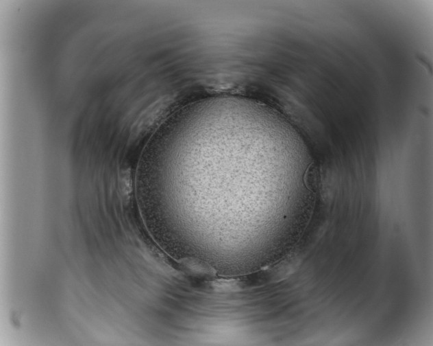 X0000102280085200808011500