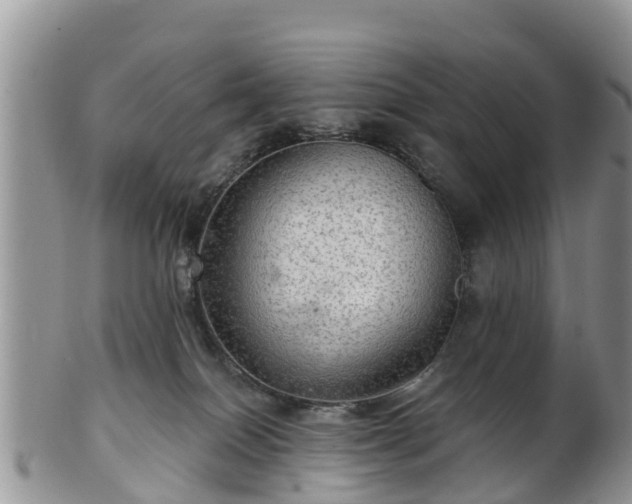 X0000102280086200808011500