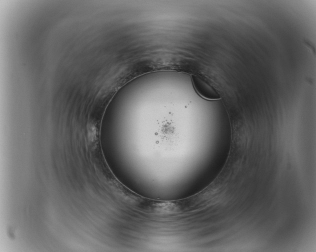 X0000102280087200808011500