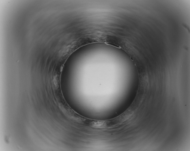 X0000102280088200808011500