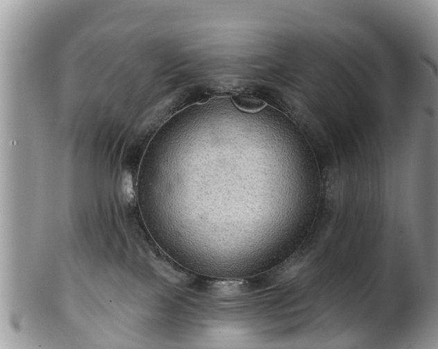 X0000102280089200808011500