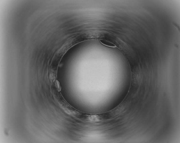 X0000102280091200808011500