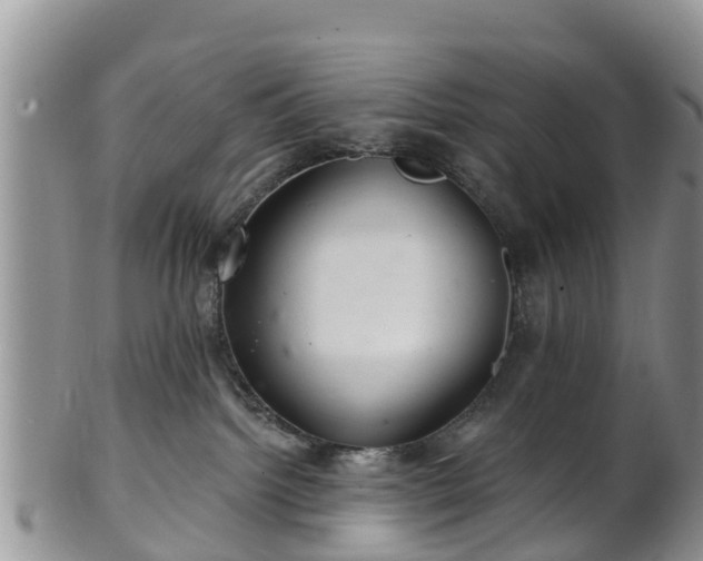 X0000102280092200808011500