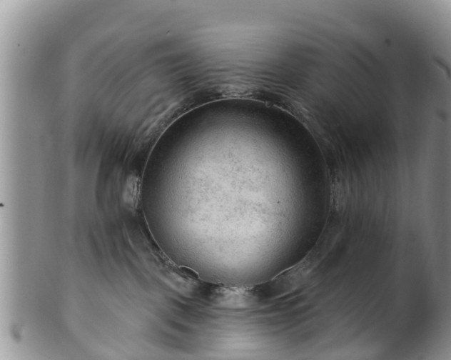 X0000102280093200808011500