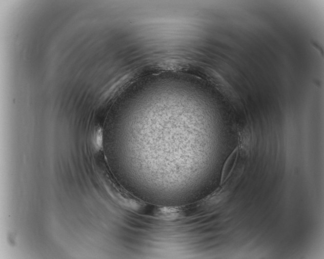 X0000102280095200808011500