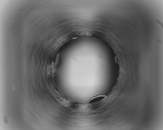 X0000102280096200808011500