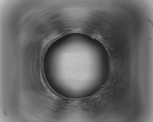 X0000102280097200808011459