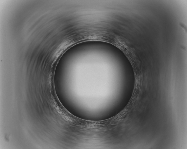 X0000102280098200808011459