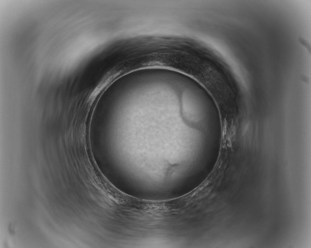 X0000102280099200808011459