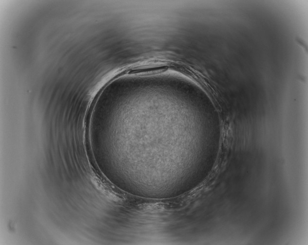 X0000102280100200808011459