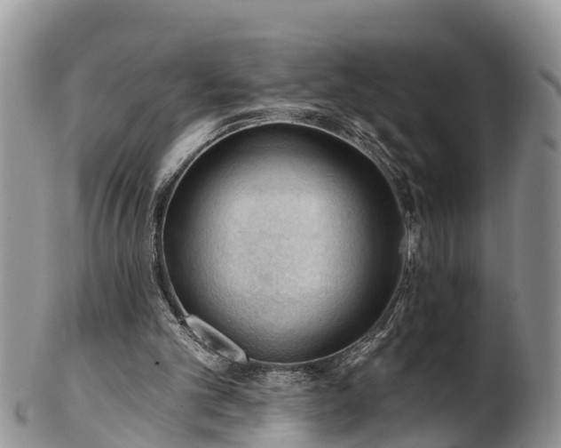 X0000102280101200808011459