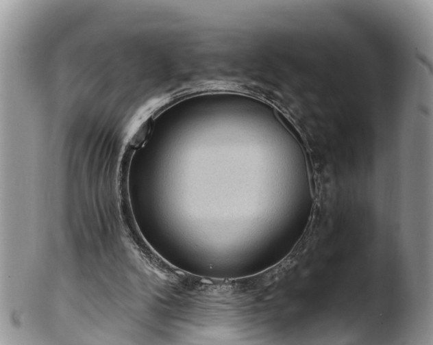 X0000102280104200808011459