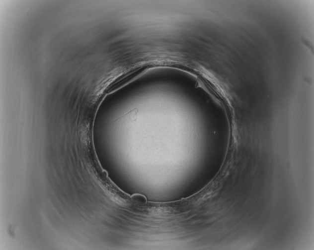 X0000102280105200808011459