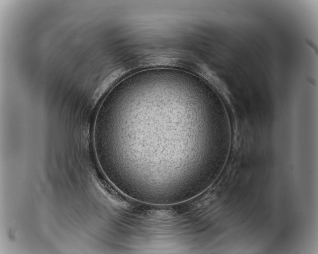 X0000102280107200808011459