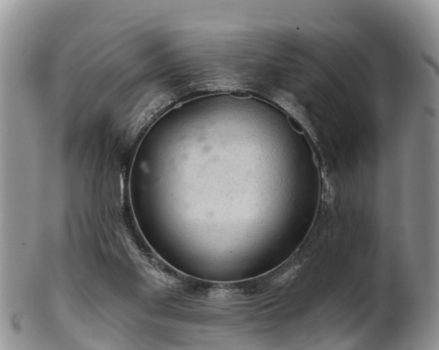 X0000102280109200808011459