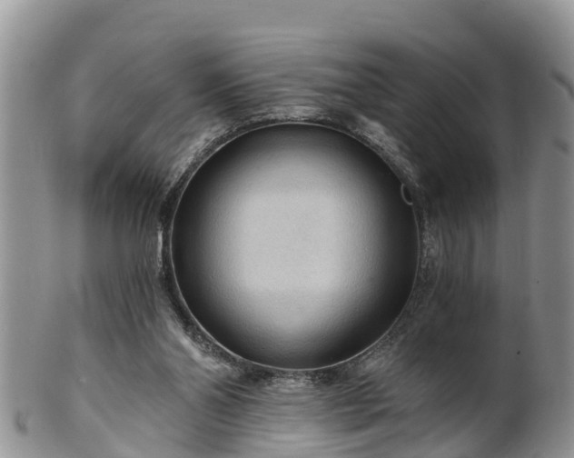 X0000102280110200808011459