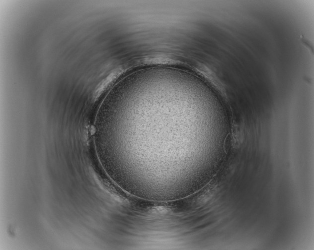 X0000102280111200808011459