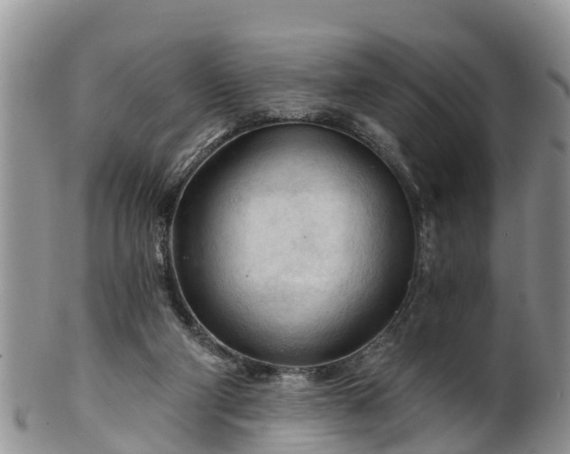 X0000102280114200808011459