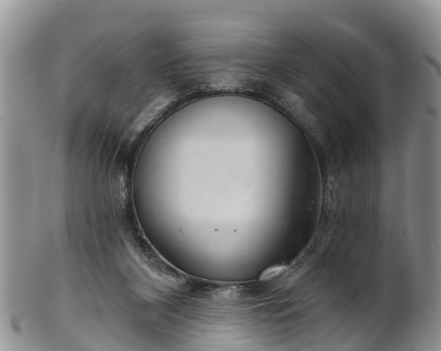 X0000102280116200808011459