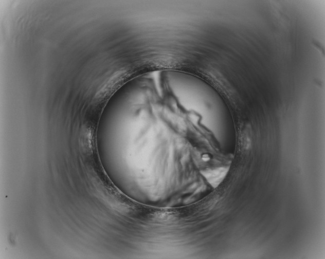 X0000102280117200808011459