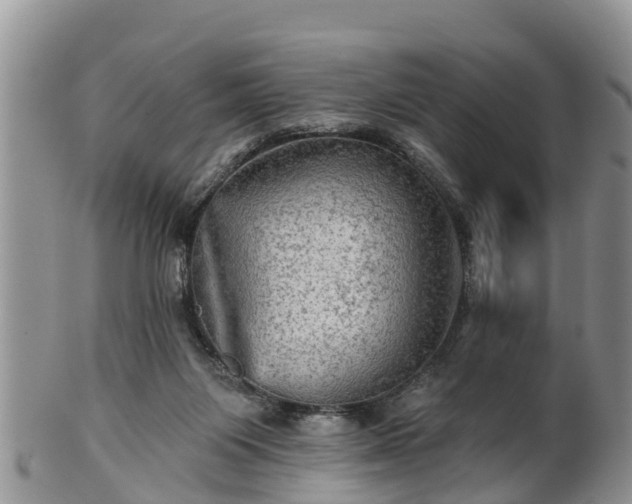 X0000102280119200808011459