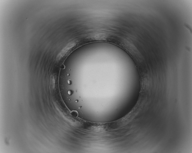 X0000102280120200808011459