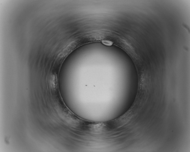 X0000102280122200808011459