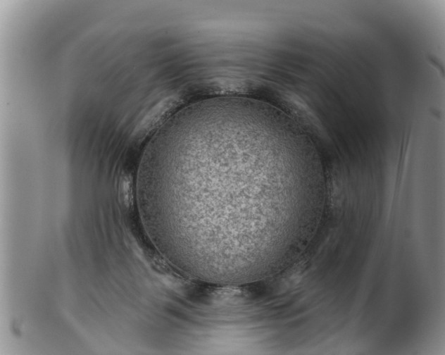 X0000102280123200808011459