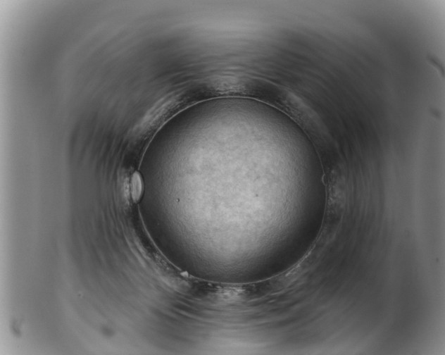 X0000102280124200808011459