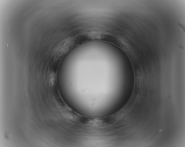 X0000102280125200808011459