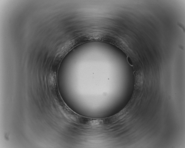 X0000102280126200808011459