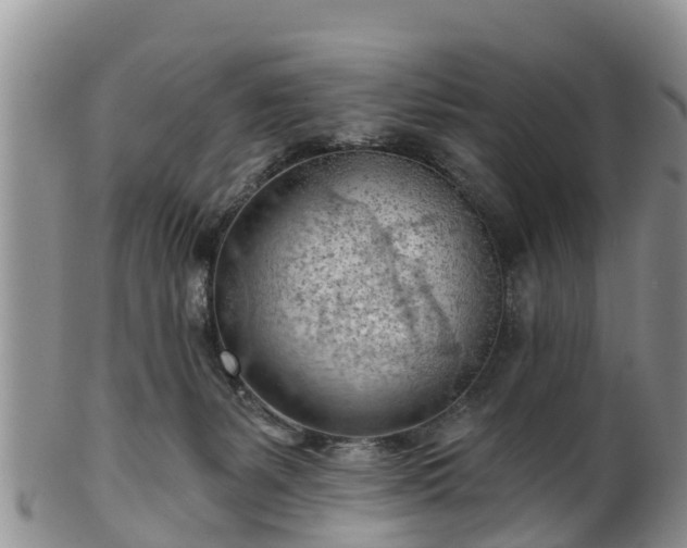 X0000102280127200808011459