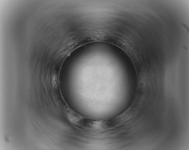 X0000102280130200808011459