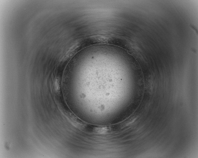 X0000102280131200808011459