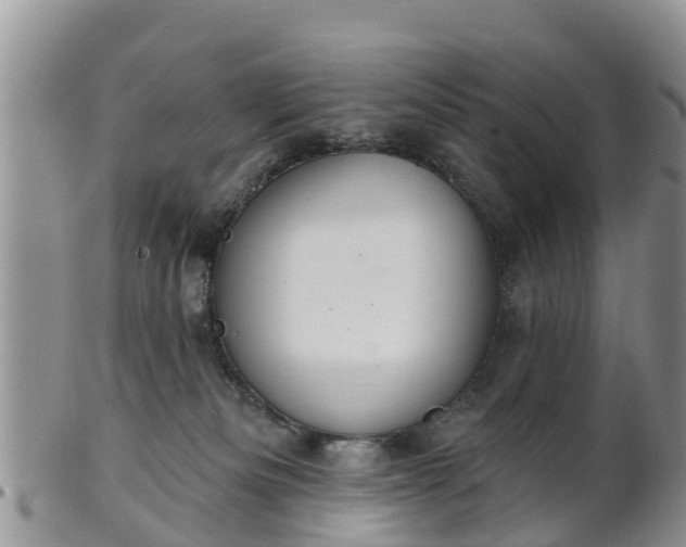 X0000102280133200808011459