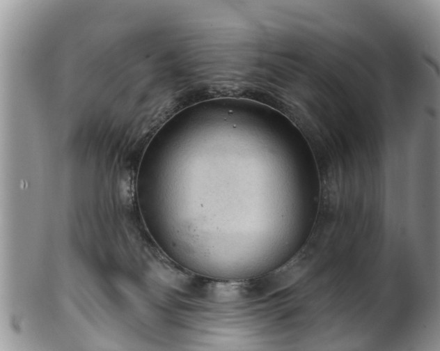 X0000102280134200808011459