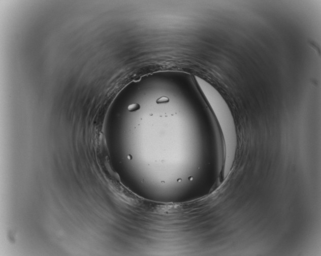 X0000102280136200808011459