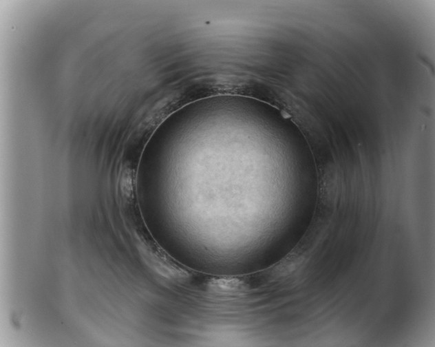 X0000102280137200808011459