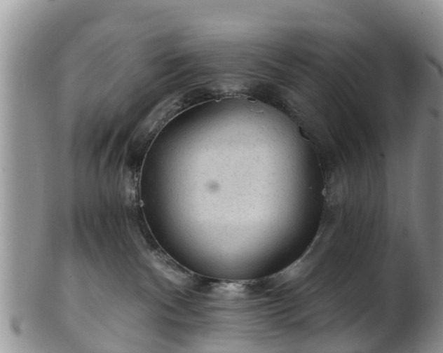 X0000102280140200808011459