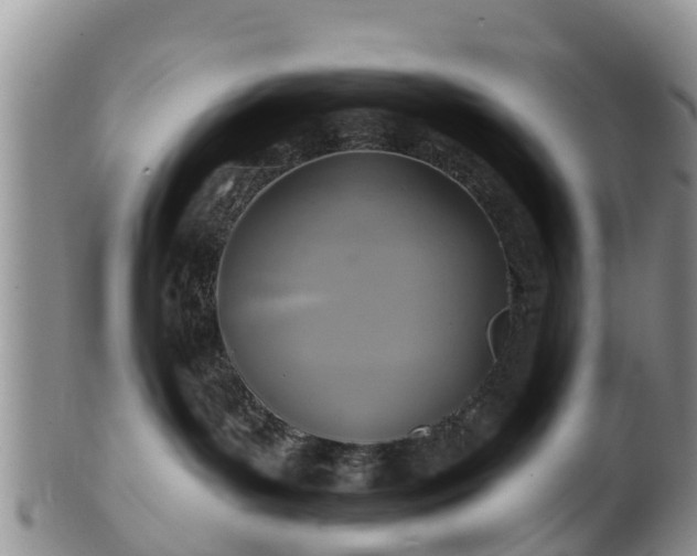 X0000102280143200808011459