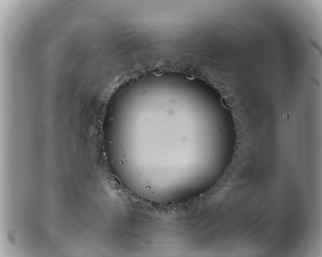 X0000102280144200808011459