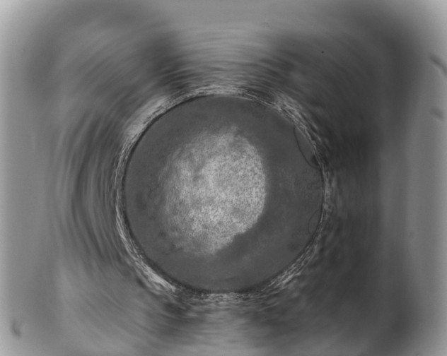 X0000102280145200808011458