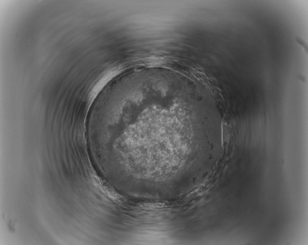 X0000102280147200808011458