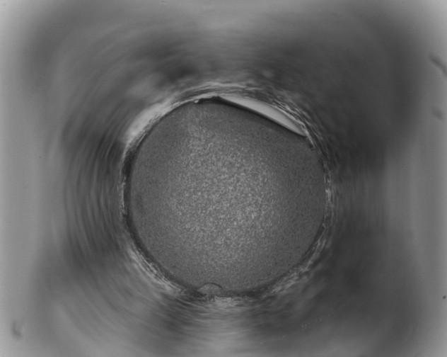 X0000102280149200808011458