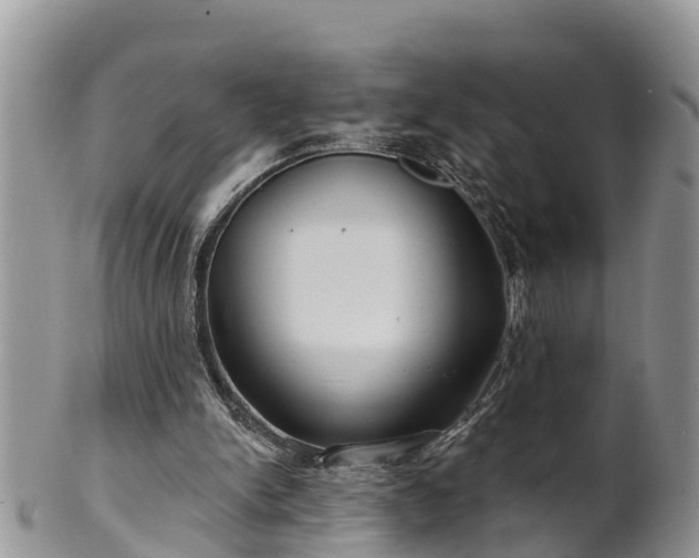 X0000102280150200808011458