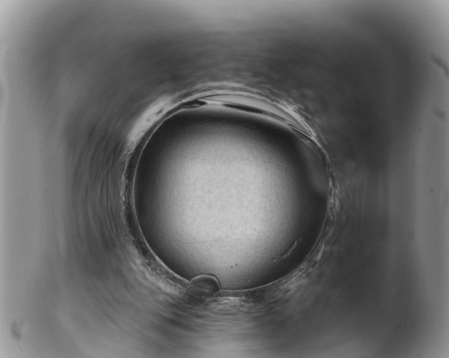 X0000102280151200808011458