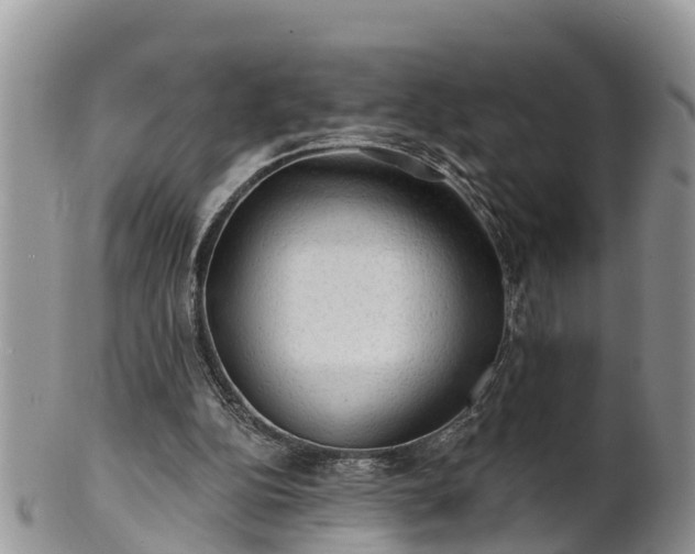 X0000102280152200808011458