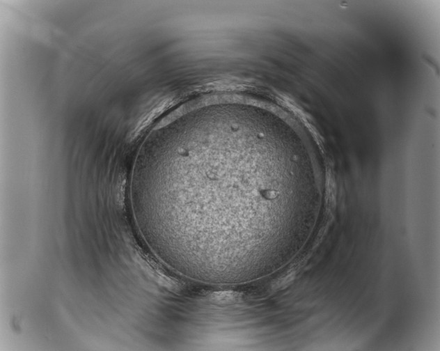 X0000102280153200808011458