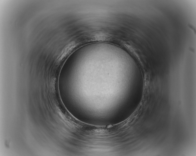 X0000102280154200808011458